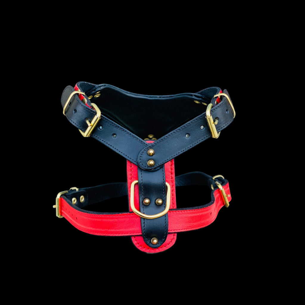 Handmade buffalo leather dog harness with lion emblem. Strong, stylish, and built for powerful breeds like Bully, Cane Corso, Rottweiler & K9 - A&C Dog Collars