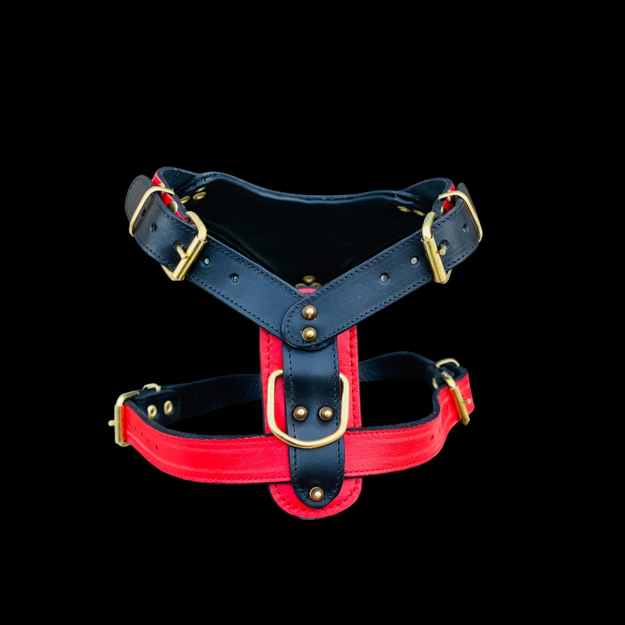 Handmade buffalo leather dog harness with lion emblem. Strong, stylish, and built for powerful breeds like Bully, Cane Corso, Rottweiler & K9 - A&C Dog Collars