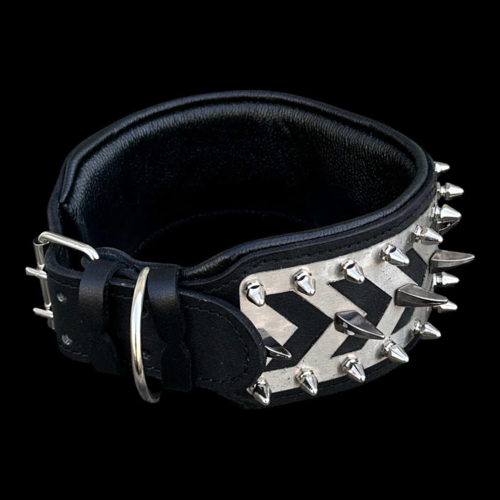Punisher Warrior Steel Dog Collar - A&C Dog Collars