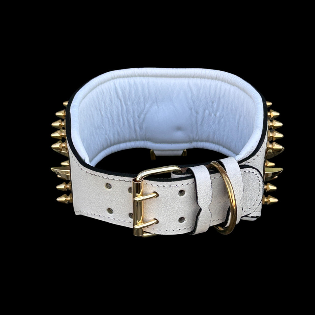 Punisher Power Dog Collar - A&C Dog Collars