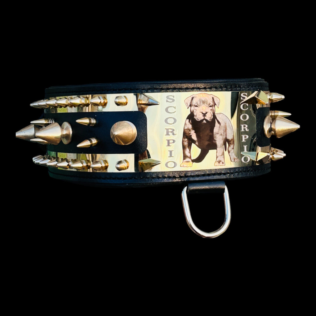 Scorpio Set Laser Photo Spike Collar & Leash - A&C Dog Collars