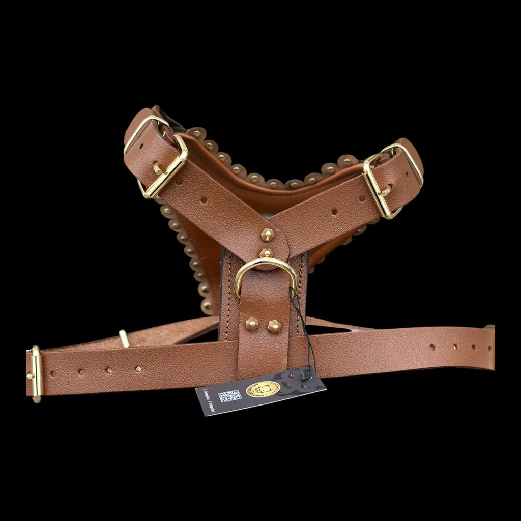 Luxury Handmade Brown Leather Dog Chest Harness with Gold Steel Plate, Bully Head & Lion Logo – Perfect for Cane Corso, Rottweiler, Kangal, Doberman, Bully, Malinois & Large Breeds - A&C Dog Collars