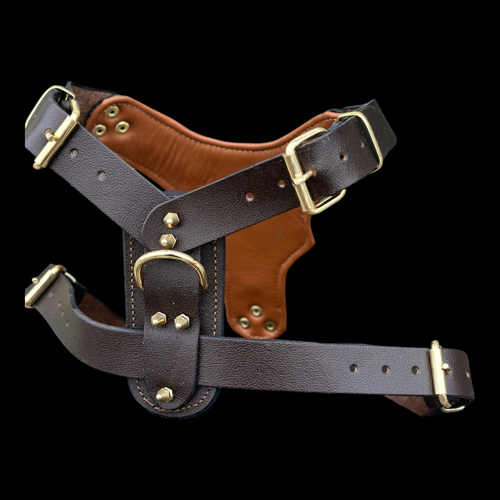 Brown Leather Dog Harness with Copper Engraved Logo & Gold Spikes – Handmade Chest Harness for Large Breeds - A&C Dog Collars