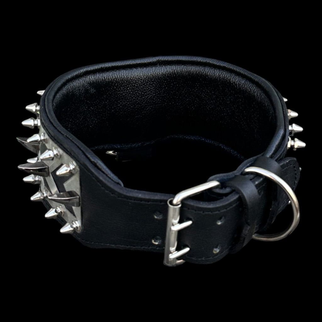 Punisher Warrior Steel Dog Collar - A&C Dog Collars